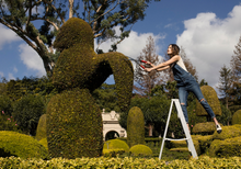 Load image into Gallery viewer, Image Container
